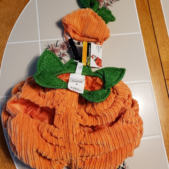 DOG COSTUME PUMPKIN - Picture 11 of 12